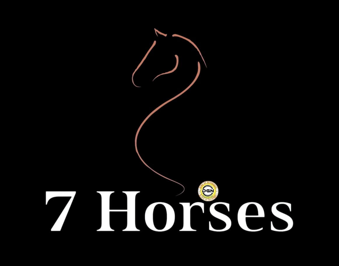 Logo 13